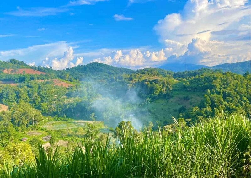 Chiang Mai: Overnight Doi Inthanon & Hands-Off Elephant Tour - Final Thoughts