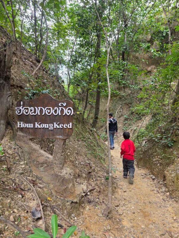 Chiang Mai: Pa Chor Canyon & Mae Ya Waterfall Day Trip - Who Should Consider This Tour?