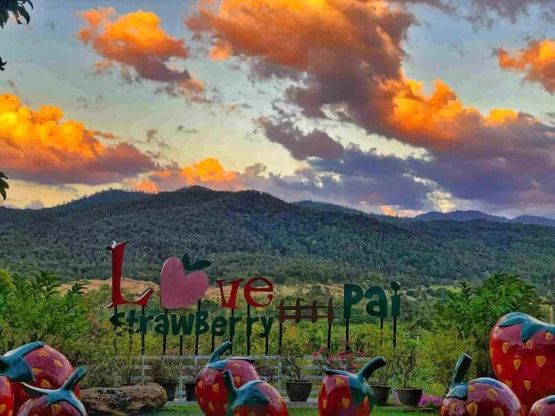 Chiang Mai: Pai Famous Attractions Day Trip with Guide - The Scenic Journey to Pai: What to Expect