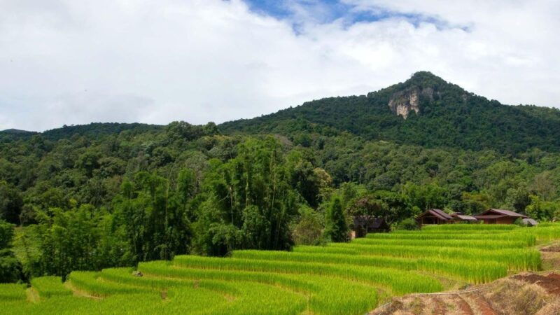 chiang-mai-pha-dok-siew-nature-trail-doi-inthanon-trip