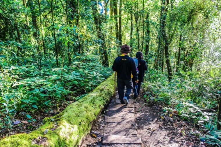 chiang-mai-pha-dok-siew-nature-trail-doi-inthanon-trip