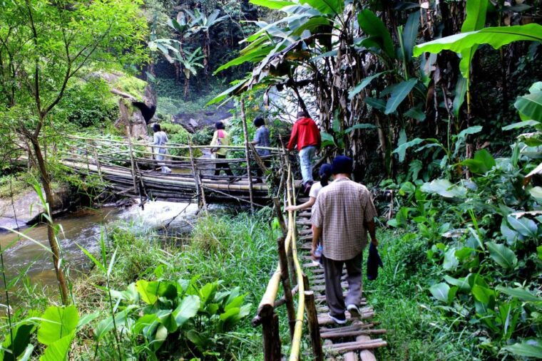 chiang-mai-pha-dok-siew-nature-trail-doi-inthanon-trip