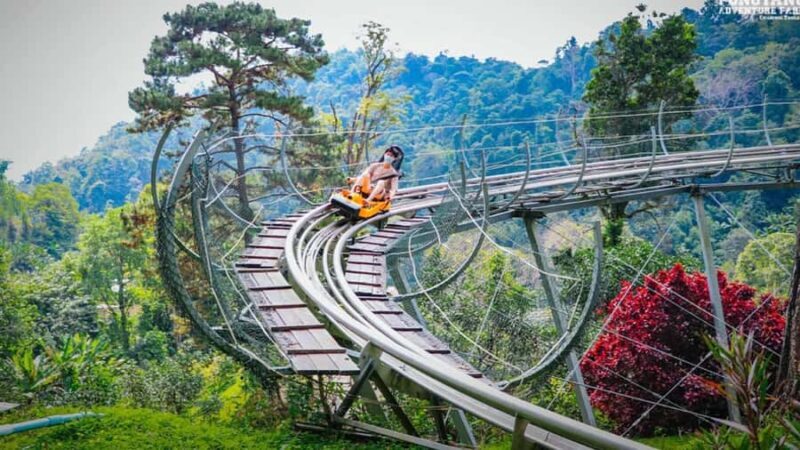 Chiang Mai: Pongyang Jungle Coaster and Zip Line Tour - Highlights and Unique Features