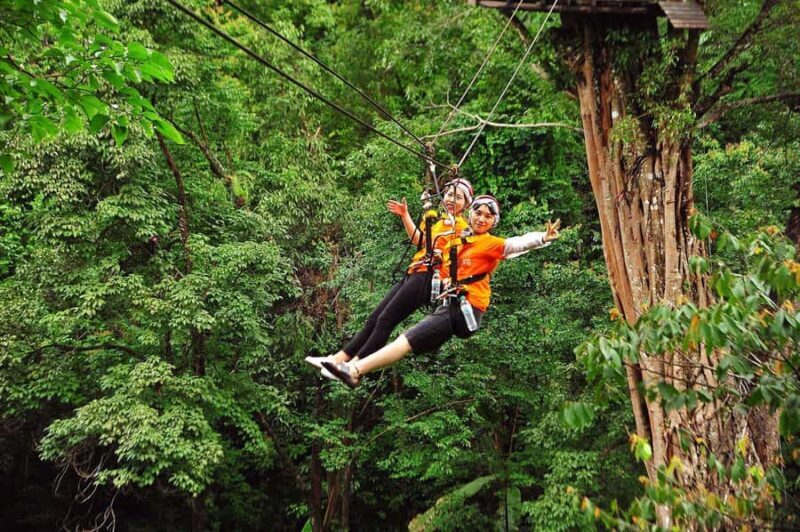 Chiang Mai : Pongyang Jungle Coaster Zipline - What to Expect from the Pongyang Jungle Coaster Zipline