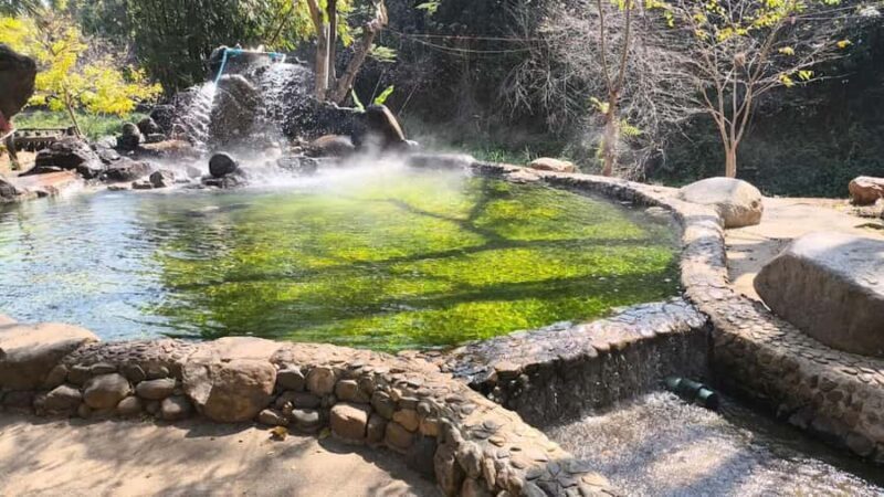 Chiang Mai: Private Chiang Rai Golden Triangle&Wellness Tour - Key Points