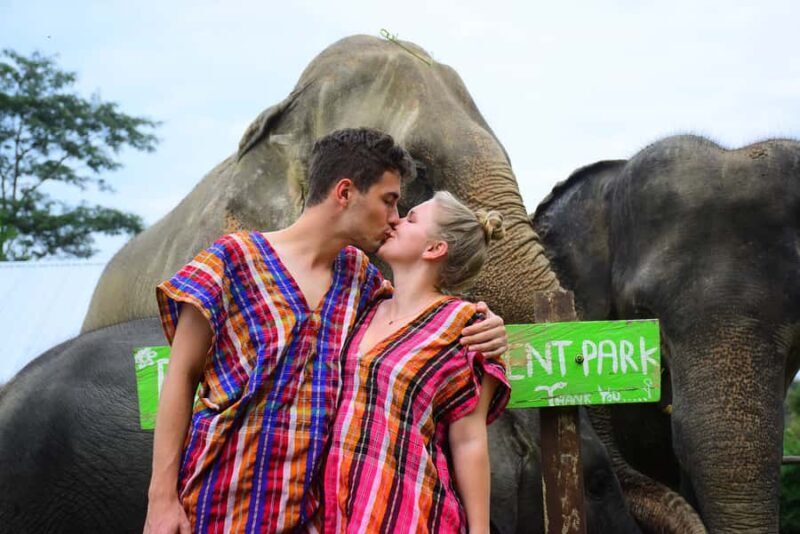 Chiang Mai: Private Elephant Care Experience for Couples - An Immersive Day in Chiang Mai with Elephants