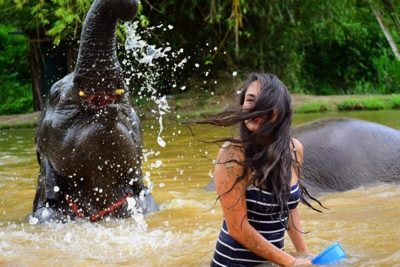 chiang-mai-private-elephant-care-experience-for-couples