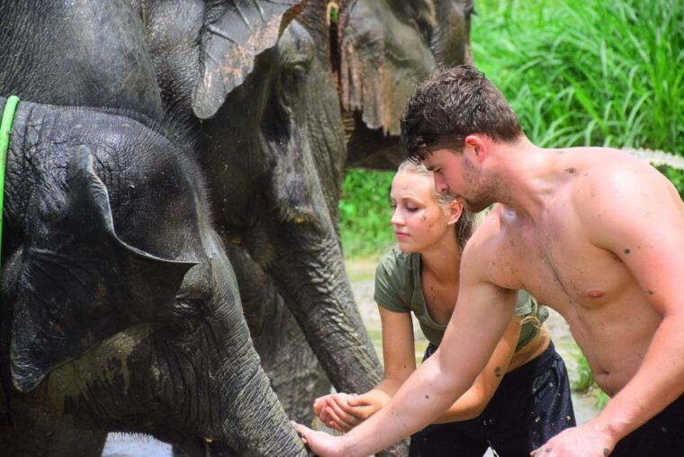 chiang-mai-private-elephant-care-experience-for-couples