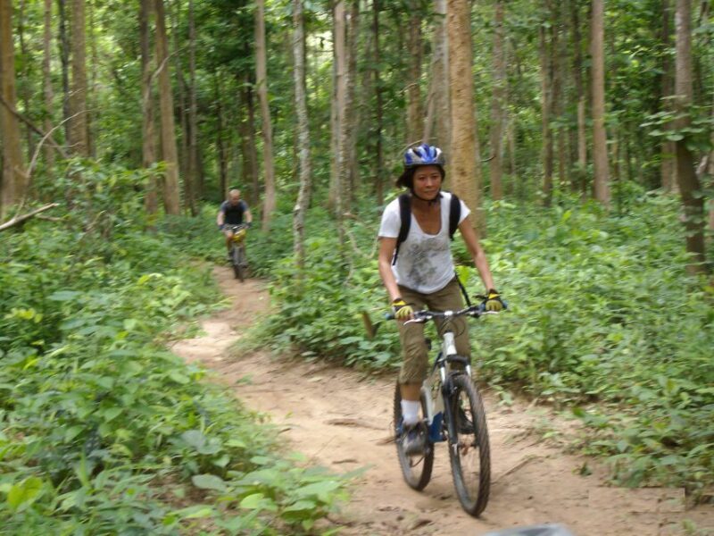 Chiang Mai: Rainforest Guided Mountain Biking Tour - An Adventurous Ride through Chiang Mai’s Green Heart