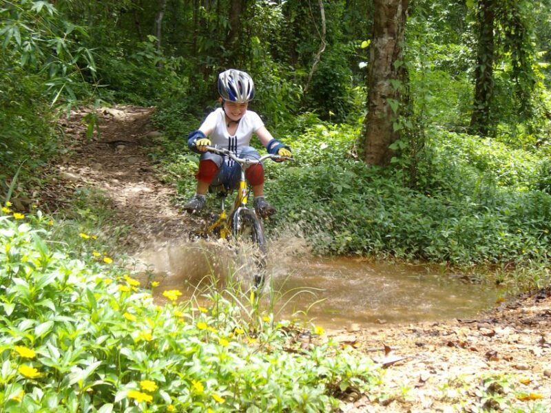 Chiang Mai: Rainforest Guided Mountain Biking Tour - Real Feedback from Participants