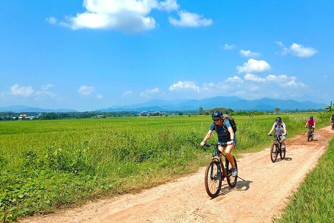 Chiang Mai Rice Fields Bike Tour Along Mae Ping River - An In-Depth Look at the Chiang Mai Rice Fields Bike Tour