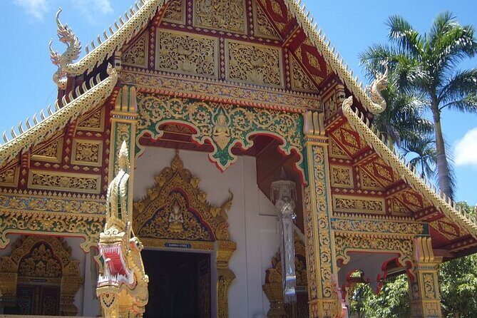 Chiang Mai Rice Fields Biking Tour - Who Will Love This Tour?