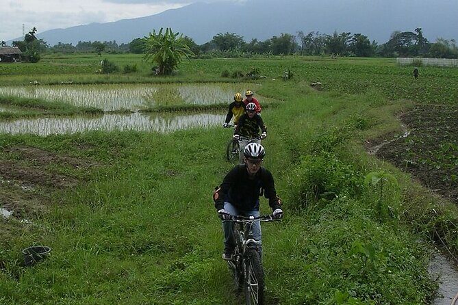 Chiang Mai Rice Fields Biking Tour - FAQ