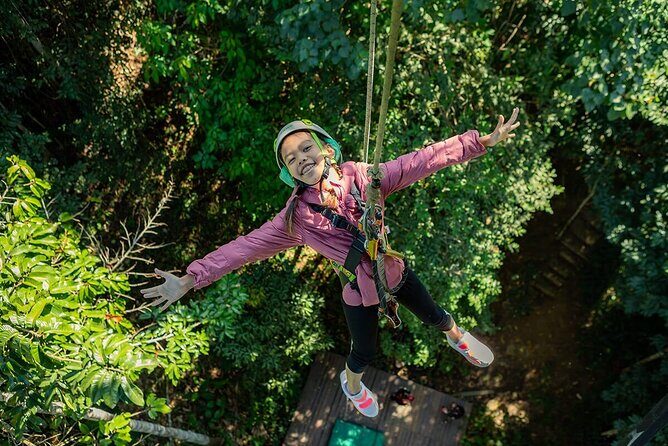 Chiang Mai Sky Hawk Zipline Adventure in the Jungle Canopy - Key Points