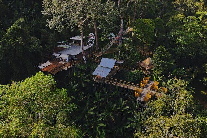 Chiang Mai Sky Hawk Zipline Adventure in the Jungle Canopy - Who Should Consider This Tour?