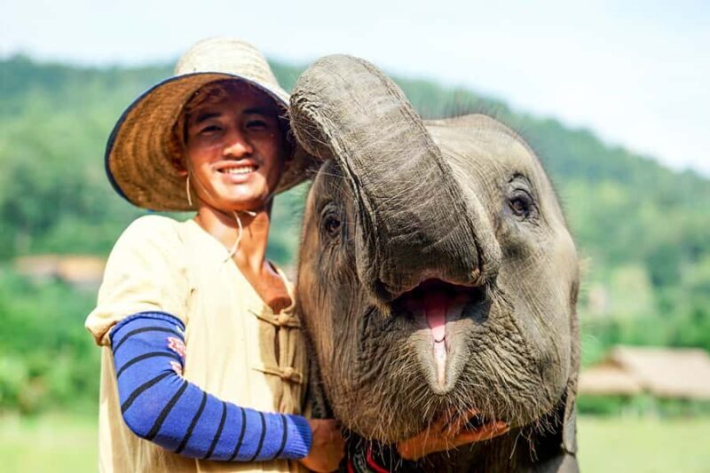 Chiang Mai: Small Group Ethical Elephant Sanctuary Tour - A Genuine Connection with Rescued Elephants