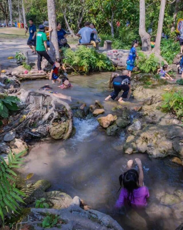 Chiang Mai: Sticky Waterfall and Blue Temple Tour - Practical Details and Tips