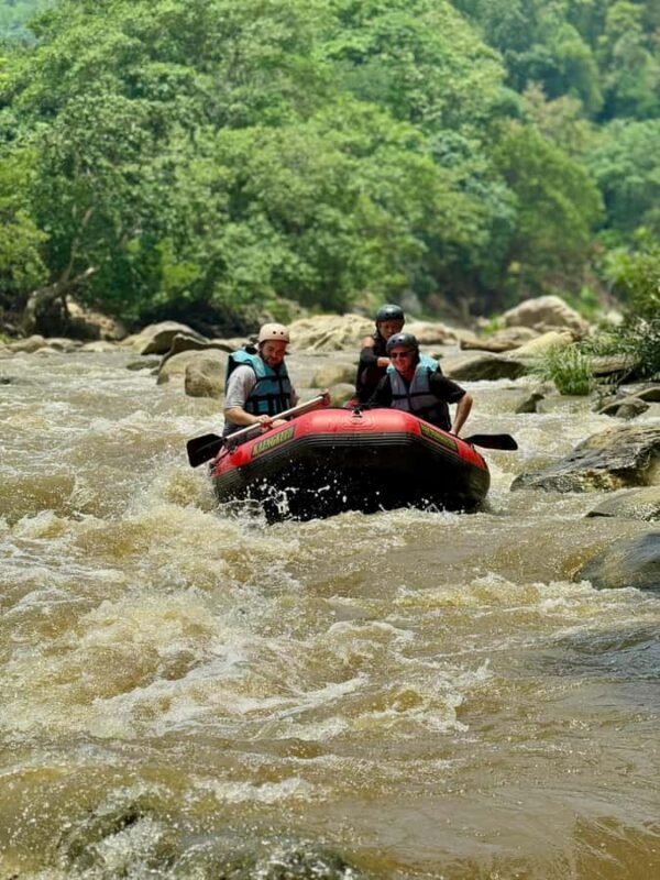 Chiang Mai: Sticky Waterfall and Rafting Day Trip - Overview of the Experience