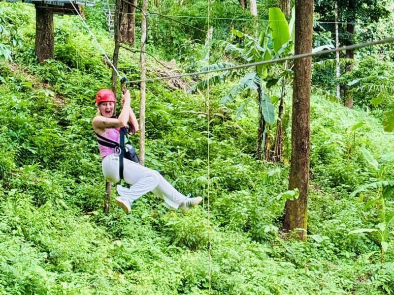 Chiang Mai: Sticky Waterfall and Zipline Adventure Day Trip - An Exciting Day of Adventure and Natural Beauty