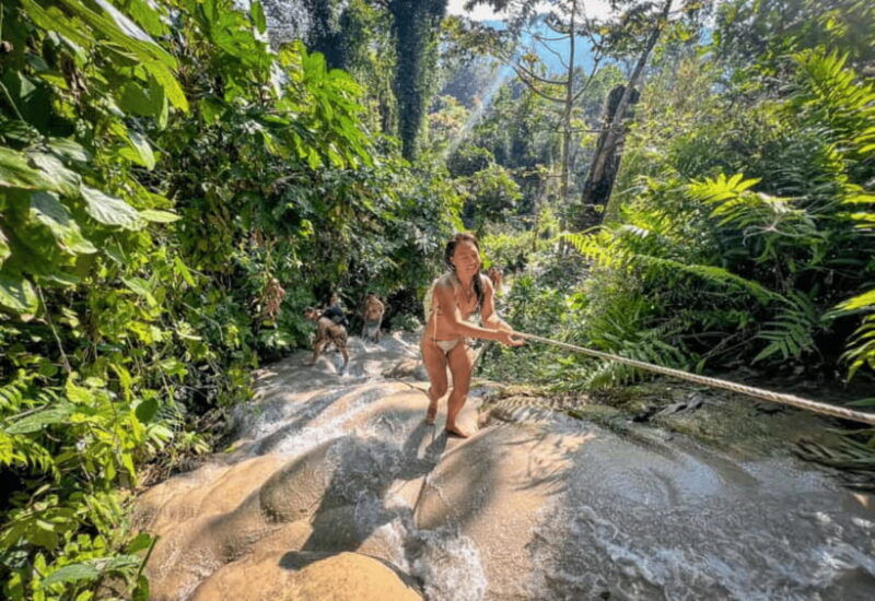 chiang-mai-sticky-waterfall-bua-tong-cave-private-day-trip