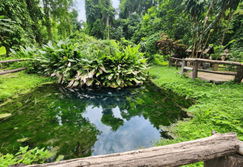 chiang-mai-sticky-waterfall-bua-tong-cave-private-day-trip