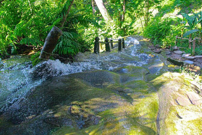 Chiang Mai: Sticky Waterfall by Local Truck with Market Stop - Authentic Experiences and Authenticity