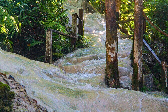 Chiang Mai: Sticky Waterfall by Local Truck with Market Stop - Final Thoughts