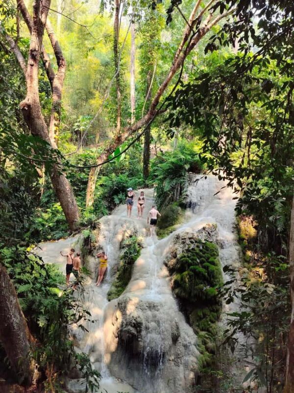 Chiang Mai : Sticky Waterfall, Cave, Forest Walk Tour - Practical Details and Value