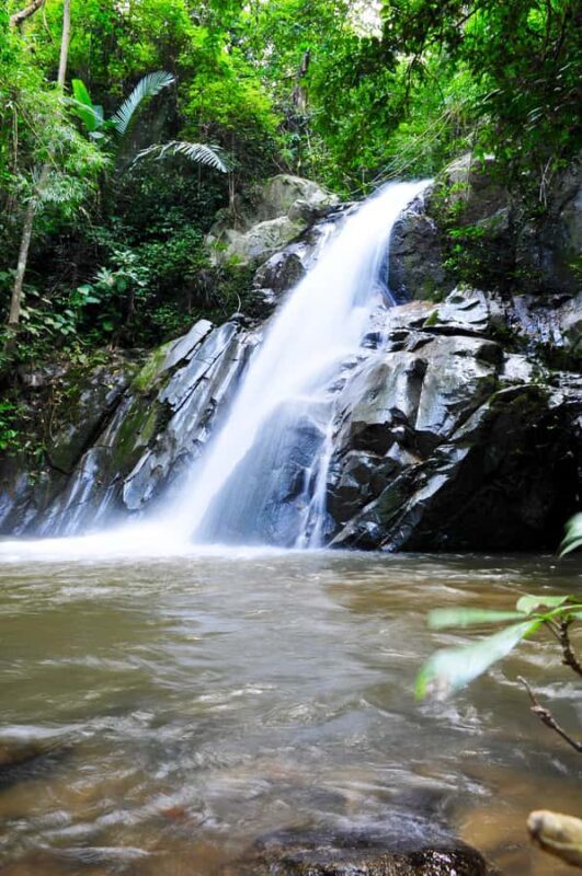 Chiang Mai: Sticky Waterfall & Caves Tour w/ Treehouse Stay - A Genuine Look at the Chiang Mai: Sticky Waterfall & Caves Tour