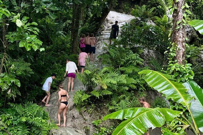 Chiang Mai Sticky Waterfall Climbing Adventure Half Day Tour - FAQ