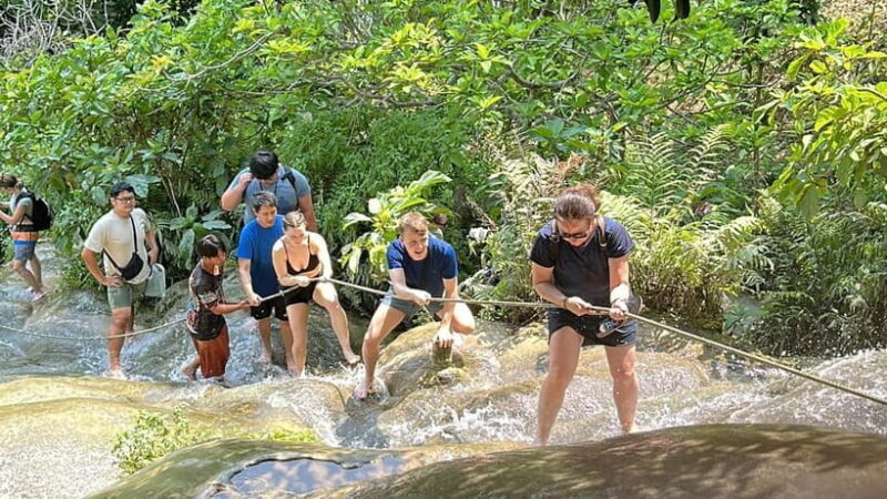 Chiang Mai : Sticky waterfall (Half Day Tour) Hotel Transfer - What Makes the Sticky Waterfall Special?