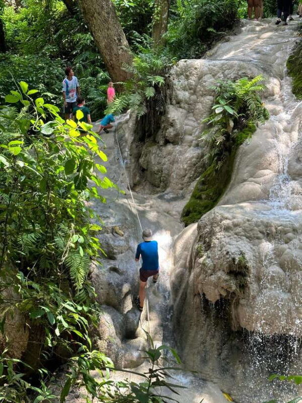 Chiang Mai : Sticky waterfall (Half Day Tour) Hotel Transfer - Is It Suitable for Everyone?