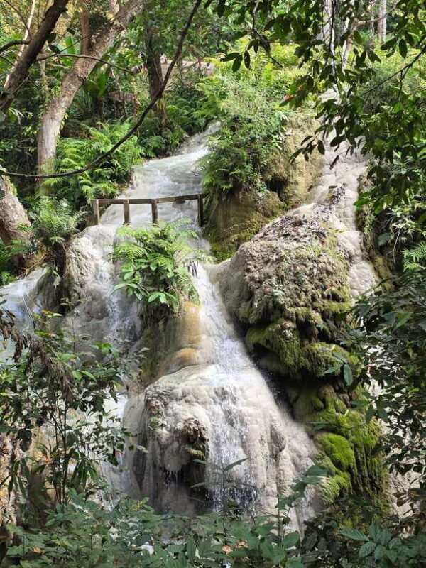 Chiang Mai : Sticky waterfall (Half Day Tour) Hotel Transfer - Practical Tips for Visitors