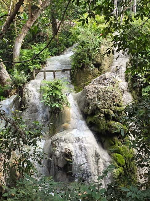 Chiang Mai : Sticky waterfall (Half Day Tour) Hotel Transfer - Why Choose This Tour?