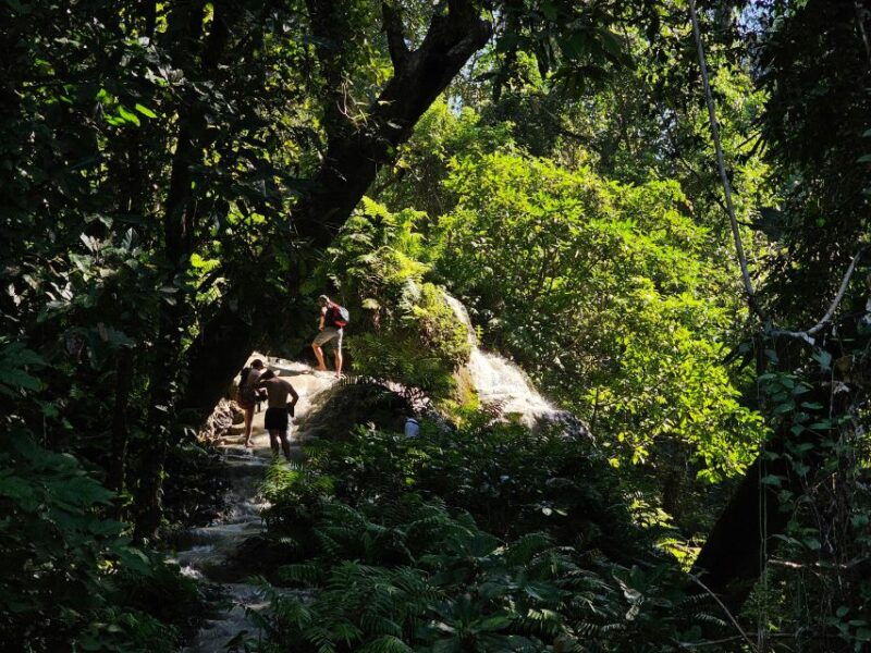 chiang-mai-sticky-waterfall-half-day-tour-hotel-transfers