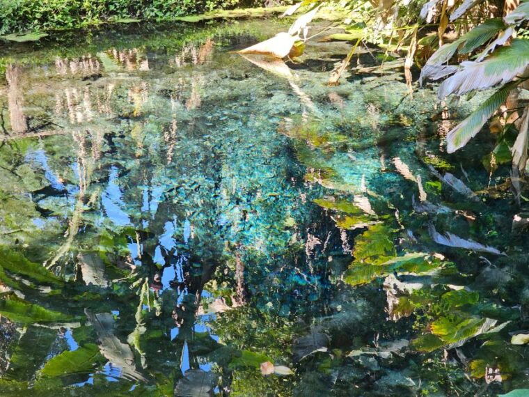 chiang-mai-sticky-waterfall-half-day-tour-hotel-transfers