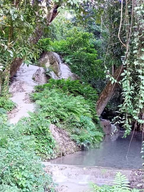 Chiang Mai: Sticky Waterfall Half day tour - Key Points