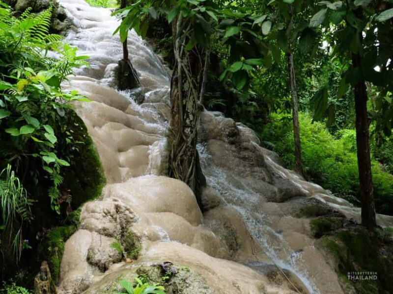 Chiang Mai: Sticky Waterfall Half day tour - In-Depth Review of the Experience