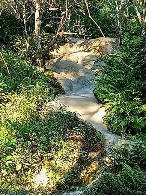 Chiang Mai: Sticky Waterfall Half day tour - FAQs