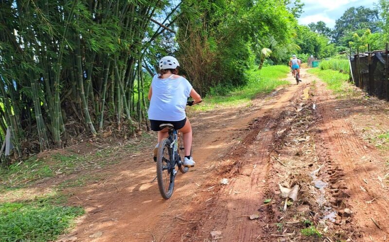 Chiang Mai: Sticky waterfall, lake kayak and cycling tour - Who Is This Tour Best For?