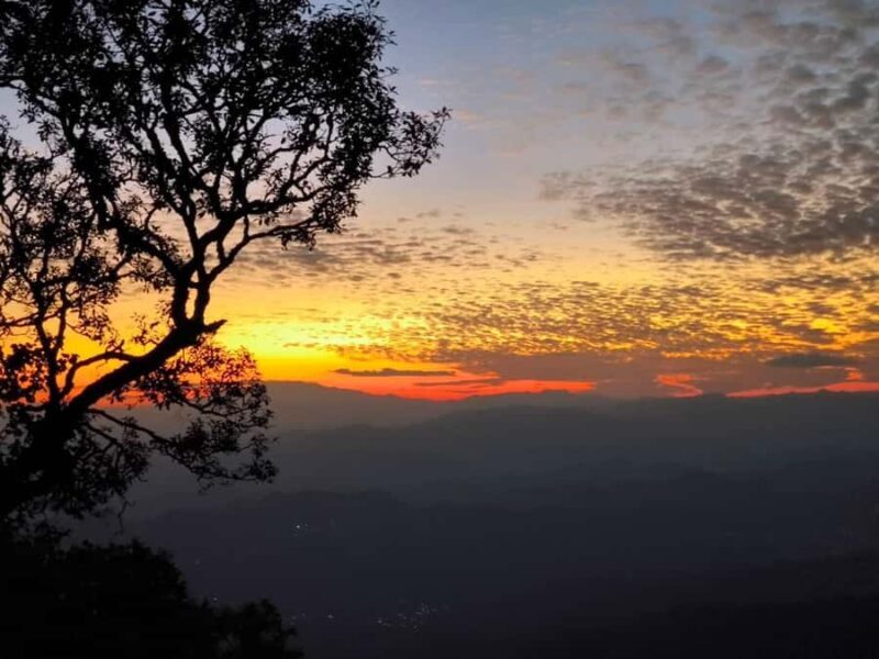 Chiang Mai Sunset Point,Wat Pha Lat,Wat Doi Suthep,Wat Umong - Who Will Love This Tour?