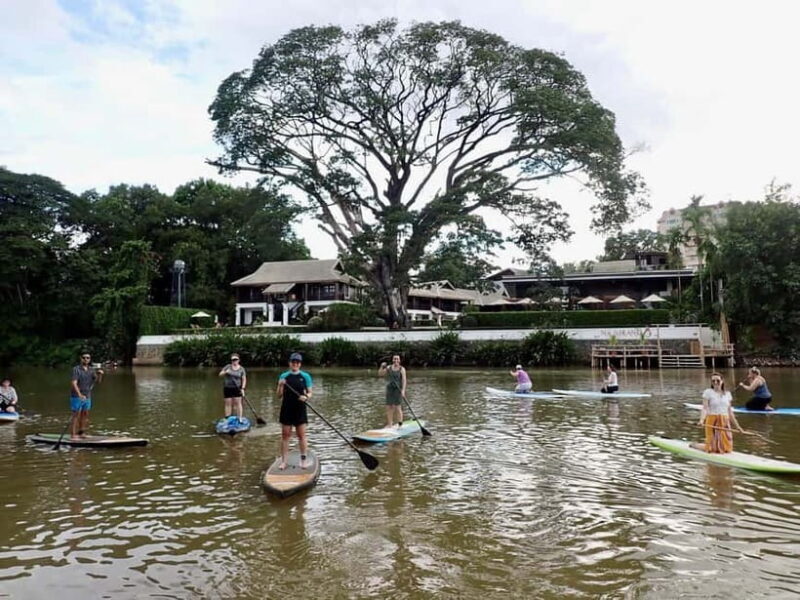 Chiang Mai: SUP Paddleboarding on the Ping River - Practical Details and Logistics