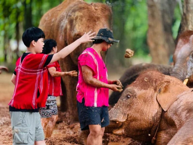 Chiang Mai : Temple , Nature and culture in one day. - Early Morning Pickup & Elephant Encounters