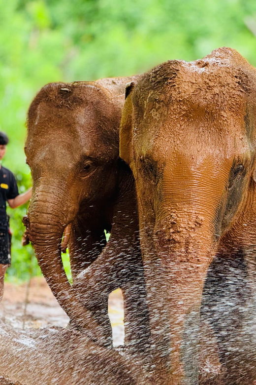 chiang-mai-temple-nature-and-culture-in-one-day