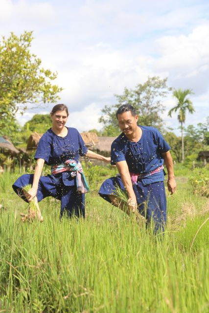 chiang-mai-thai-buffalo-and-rice-planting-experience