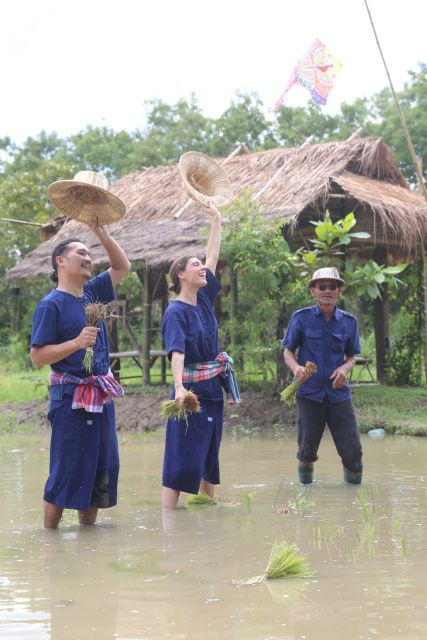 chiang-mai-thai-buffalo-and-rice-planting-experience