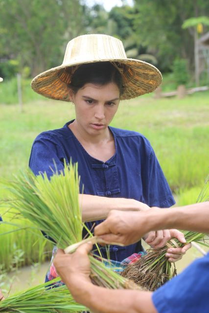 chiang-mai-thai-buffalo-and-rice-planting-experience