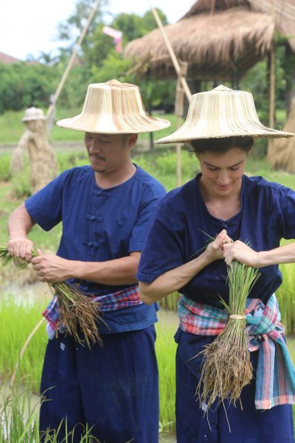 chiang-mai-thai-buffalo-and-rice-planting-experience