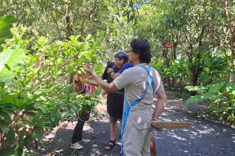 Chiang Mai: Thai Cooking Class & Village Cycling Tour - Who Would Enjoy This Tour?