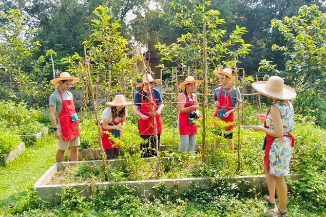 Chiang Mai Thai Cooking Organic Farm with Local Market Tour - Who Should Consider This Tour?